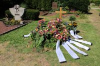 das zu drehende Bild