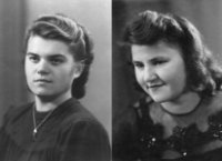 das zu meldende Bild