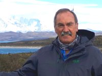 das zu meldende Bild