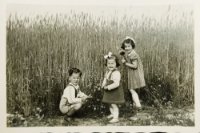 das zu meldende Bild