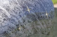 das zu meldende Bild