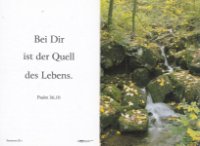 ein Bild aus dem Album