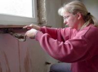 das zu drehende Bild