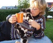 das zu drehende Bild