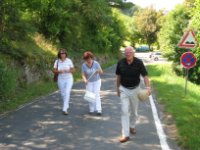 das zu meldende Bild