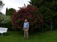 ein Bild aus dem Album