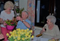 das zu meldende Bild