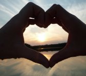 das zu löschende Bild