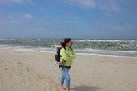 das zu meldende Bild