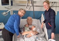 das zu drehende Bild